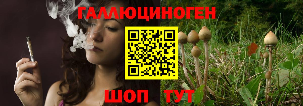 Галлюциногенные грибы Magic Shrooms Воскресенск